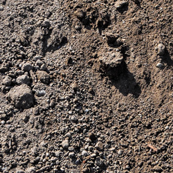 Fill Dirt