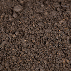 Topsoil