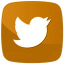 Twitter Icon